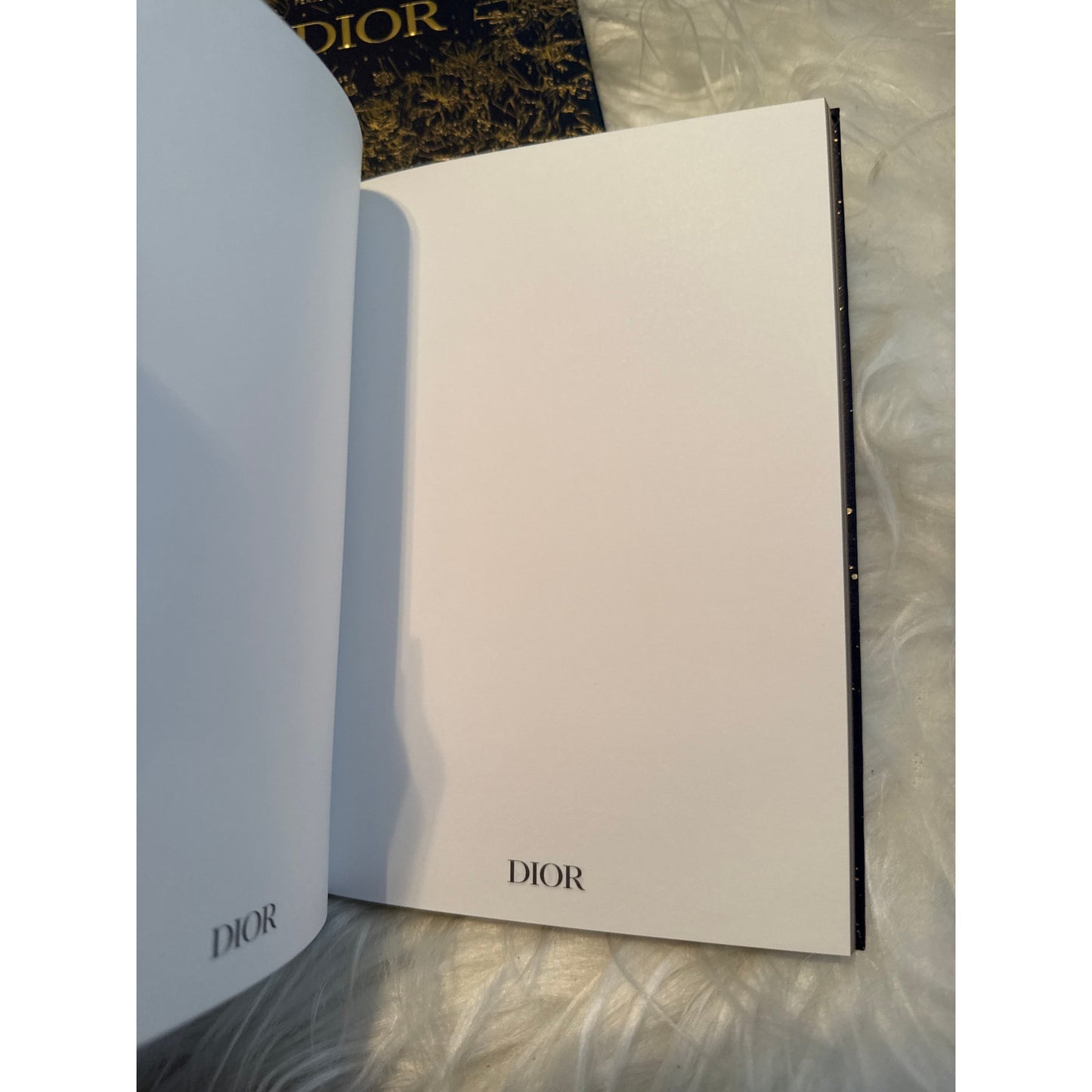 Dior Notebook