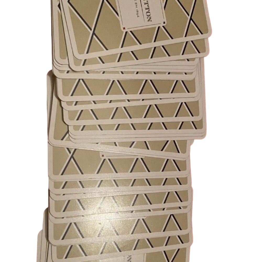 Louis Vuitton Poker Pouch and Deck of Cards