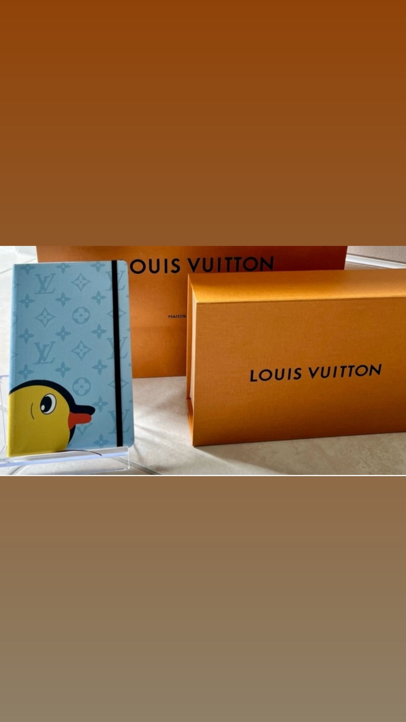 Louis Vuitton Yitian Jane MM Notebook