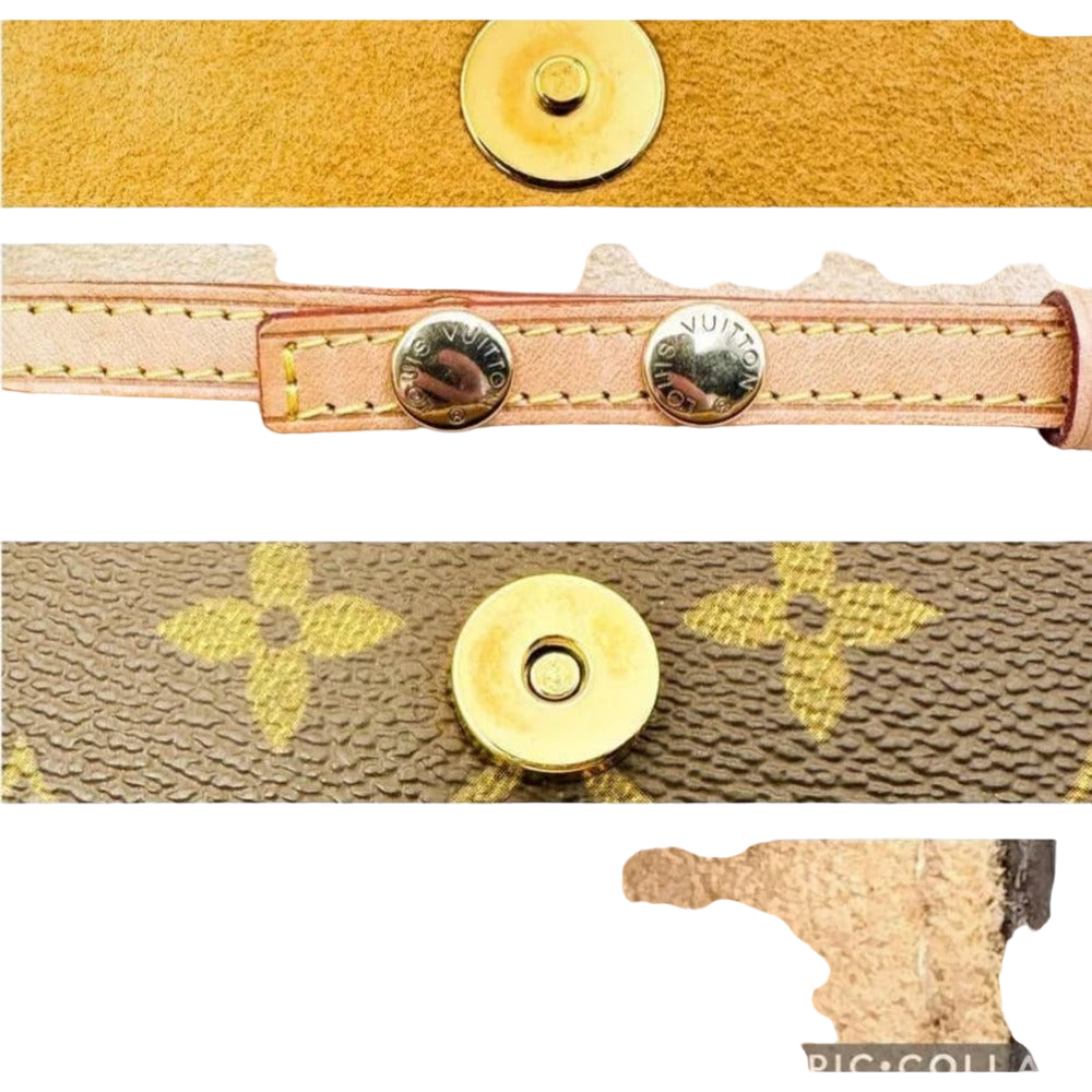 Louis Vuitton Twin Pochette GM